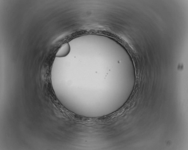 X0000091501063200708161229