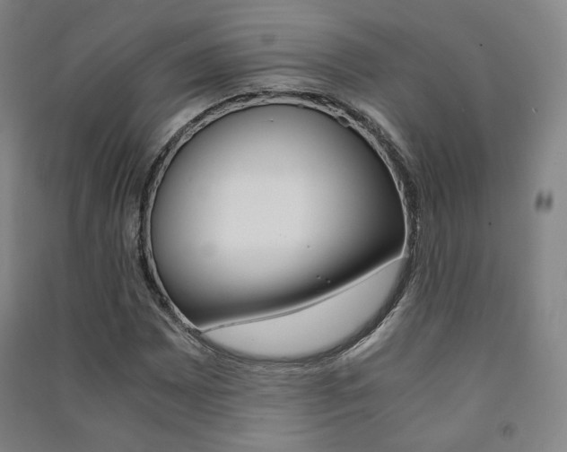 X0000091501065200708161229