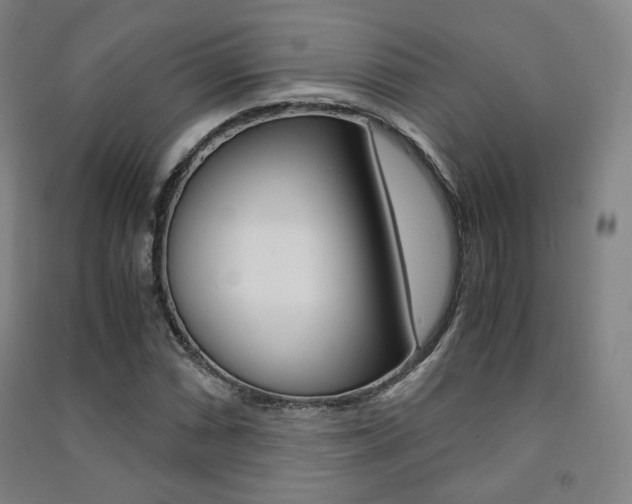 X0000091501066200708161229