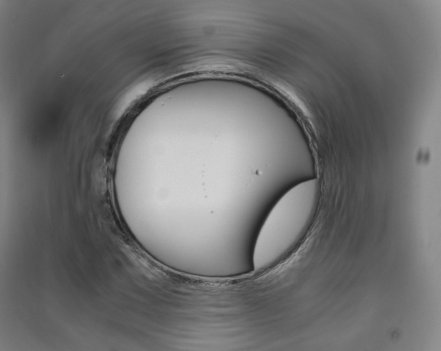 X0000091501067200708161229