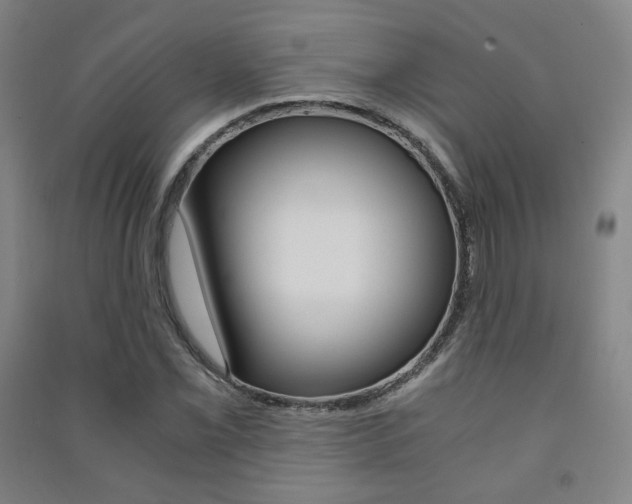 X0000091501069200708161229