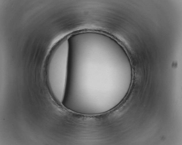 X0000091501070200708161229