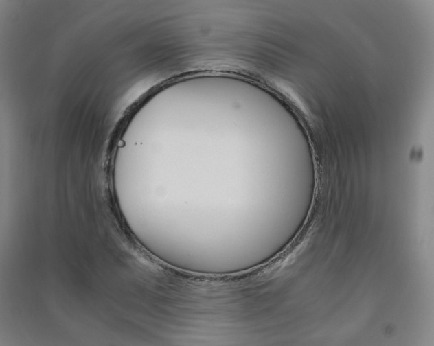 X0000091501071200708161229