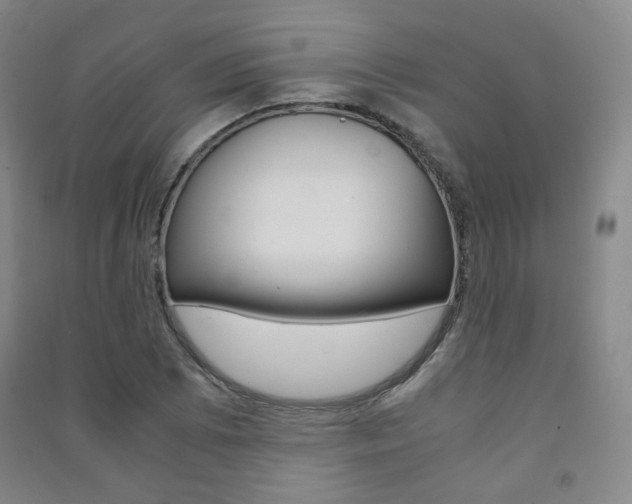 X0000091501073200708161229