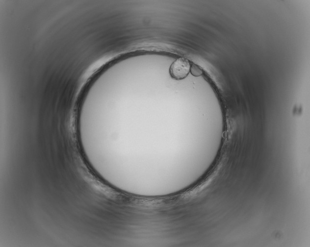 X0000091501074200708161229