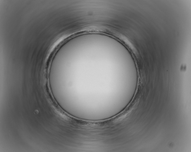 X0000091501075200708161229