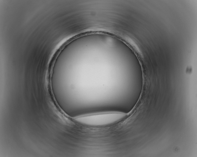 X0000091501076200708161229