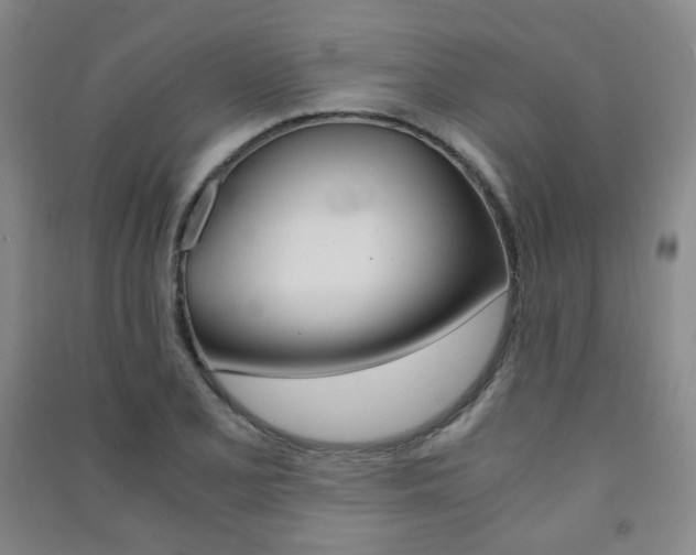 X0000091501077200708161229