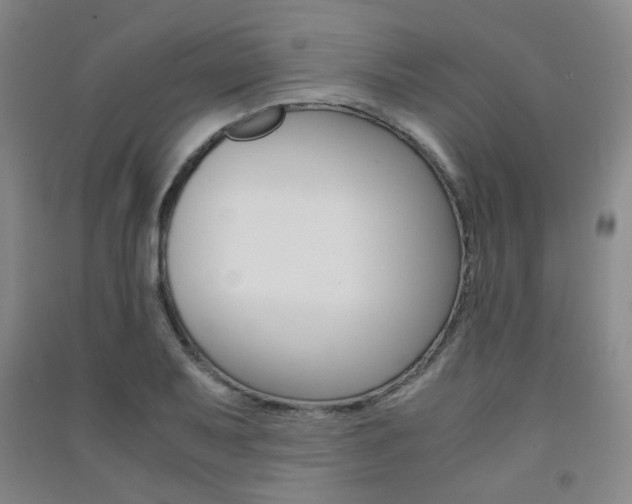 X0000091501079200708161229