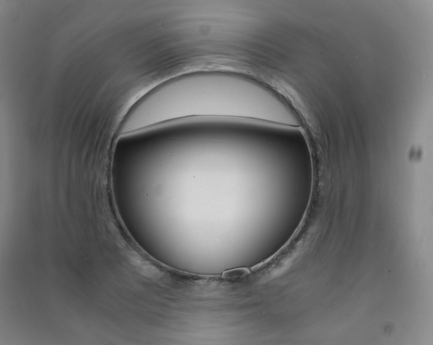 X0000091501081200708161229