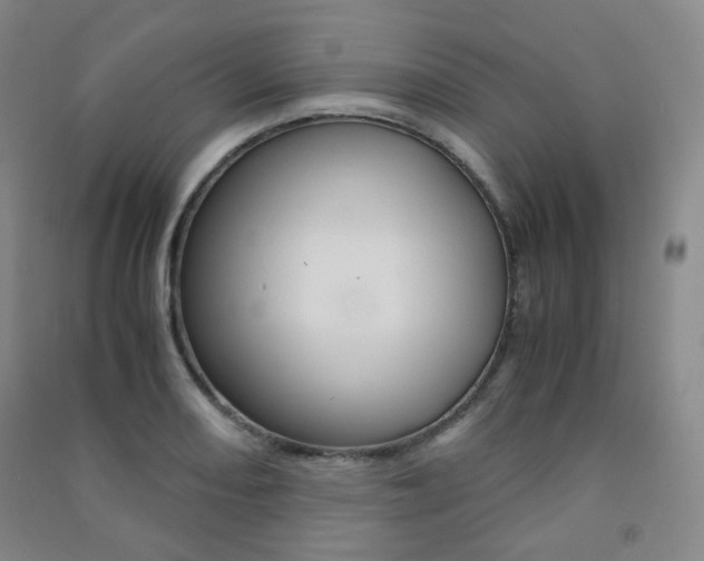X0000091501082200708161229