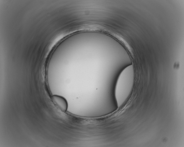 X0000091501083200708161229