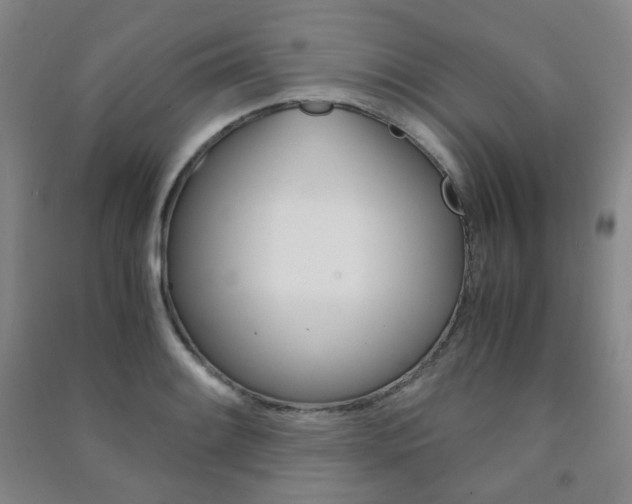 X0000091501084200708161229