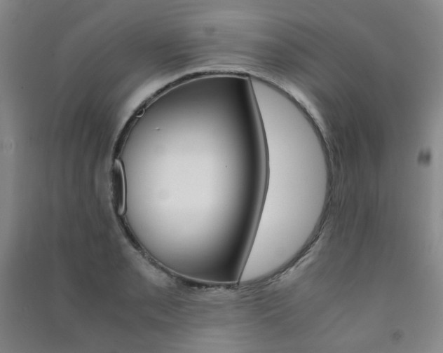 X0000091501085200708161229