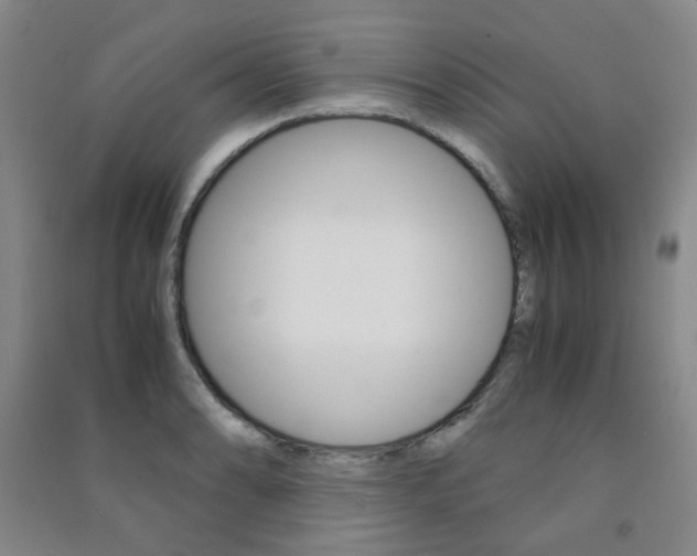 X0000091501086200708161229