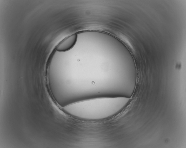 X0000091501087200708161229