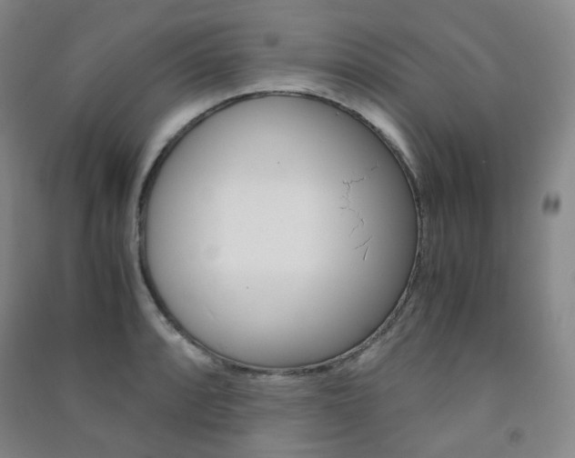 X0000091501088200708161229