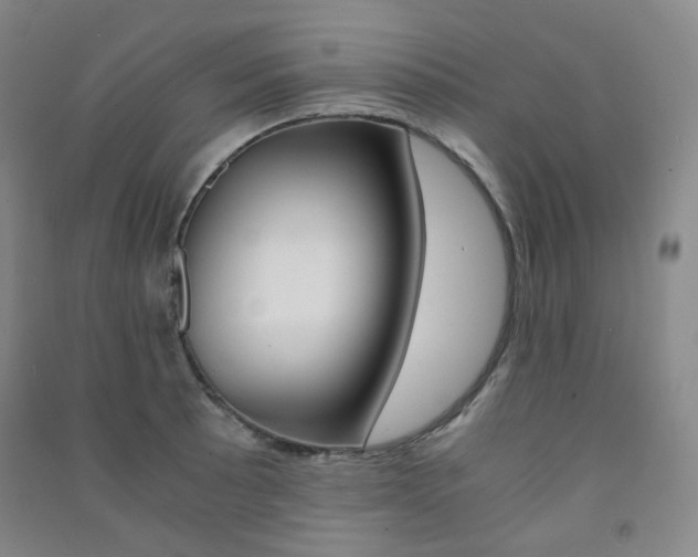 X0000091501089200708161229