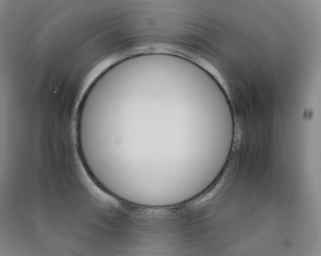 X0000091501090200708161229