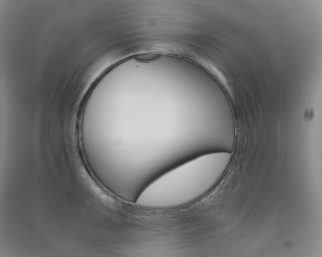 X0000091501091200708161229