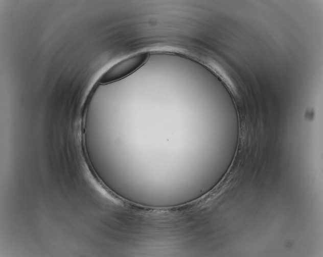 X0000091501092200708161229
