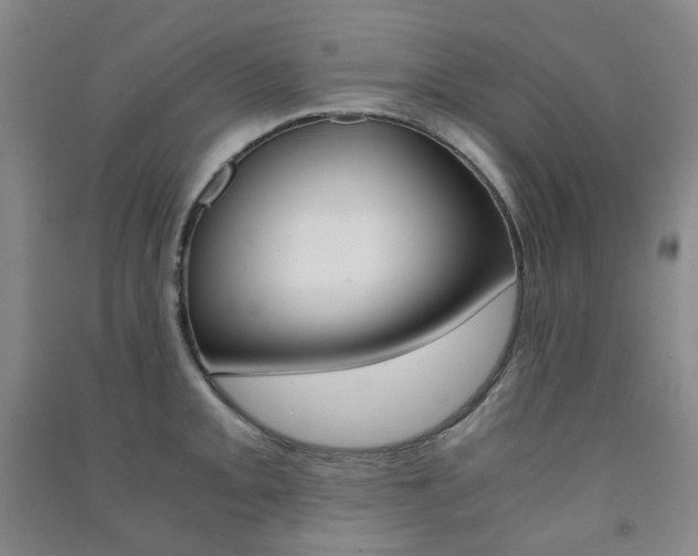 X0000091501093200708161229