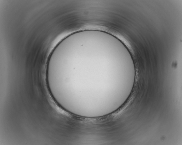 X0000091501094200708161229