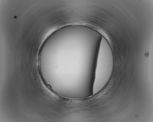 X0000091501095200708161229
