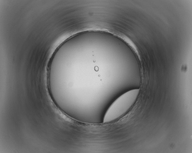 X0000091501096200708161229