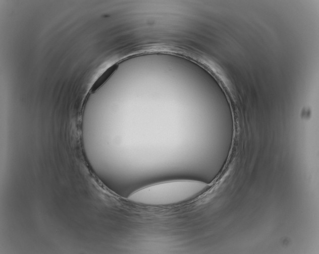 X0000091501097200708161229