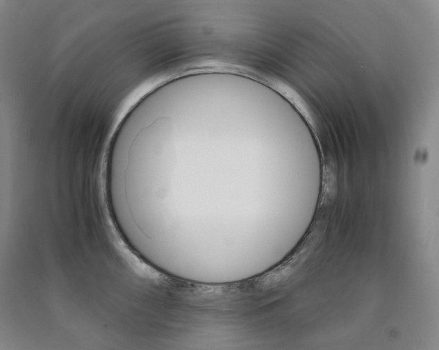 X0000091501098200708161229