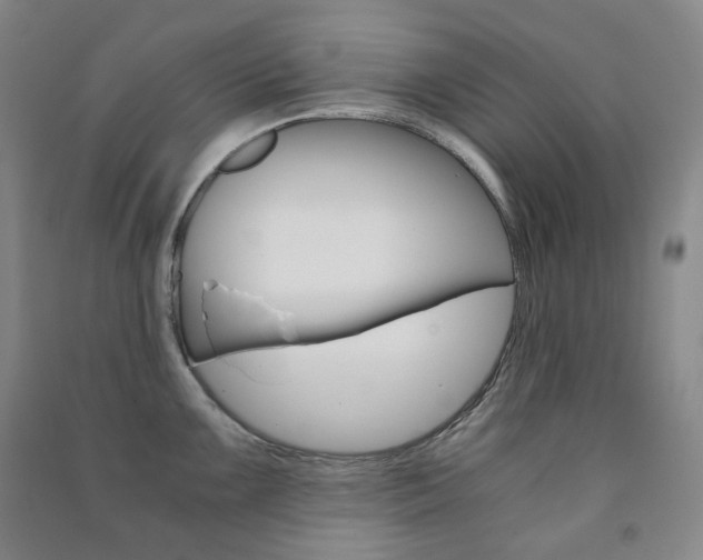 X0000091501099200708161229