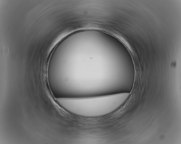 X0000091501101200708161229