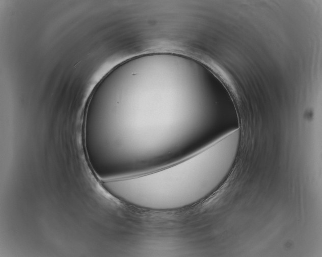 X0000091501102200708161229