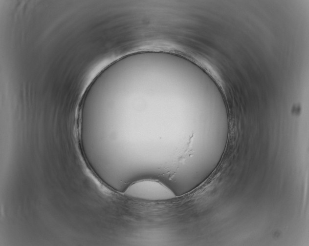 X0000091501103200708161229