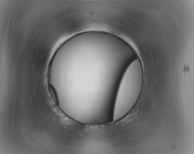 X0000091501104200708161229