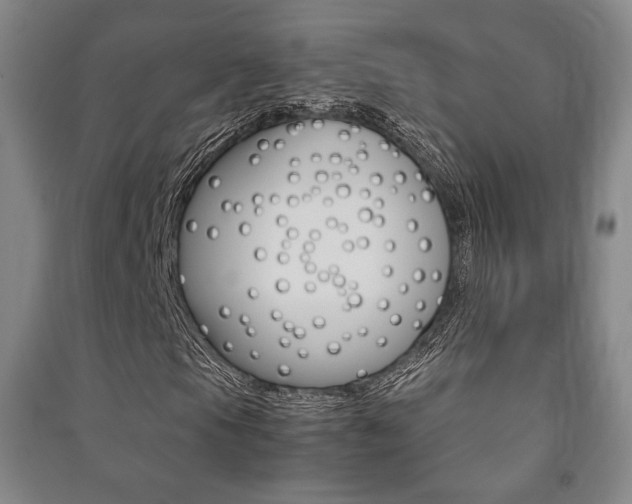 X0000091501105200708161228