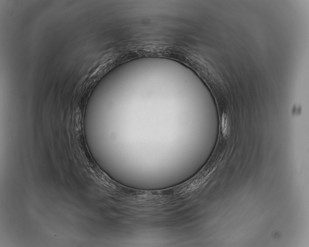X0000091501107200708161228