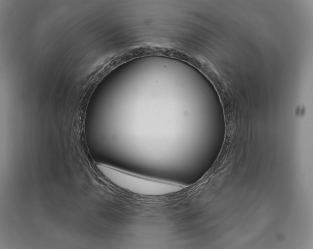 X0000091501110200708161228