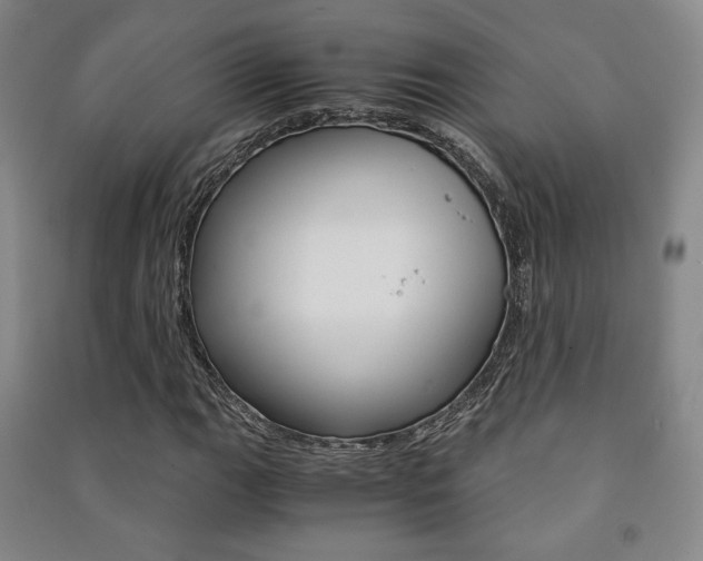 X0000091501111200708161228