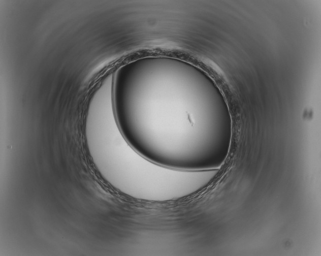 X0000091501112200708161228
