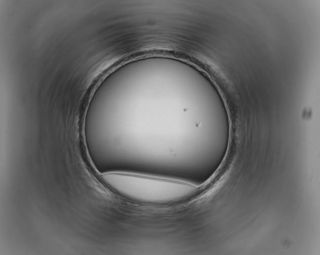 X0000091501113200708161228