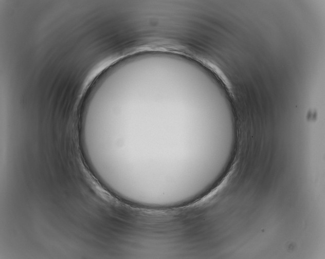 X0000091501114200708161228