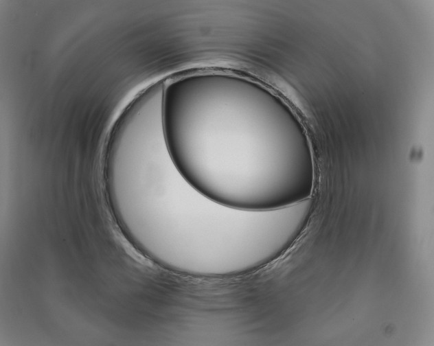 X0000091501116200708161228