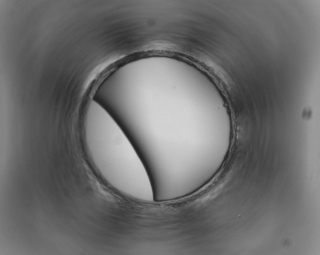 X0000091501117200708161228