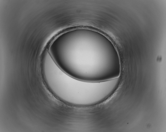 X0000091501118200708161228