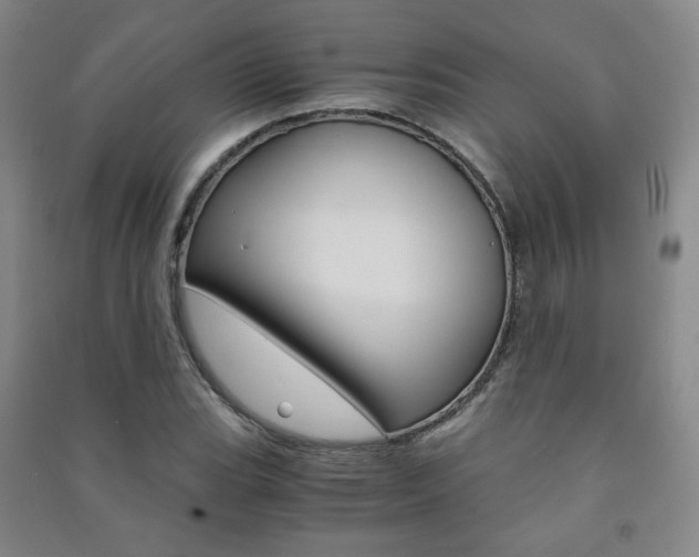 X0000091501119200708161228