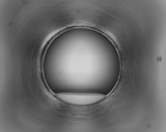 X0000091501120200708161228