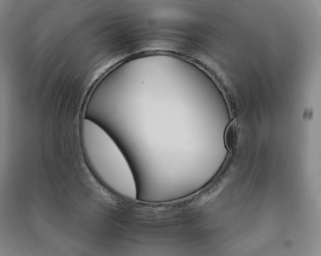 X0000091501121200708161228