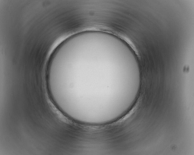 X0000091501122200708161228